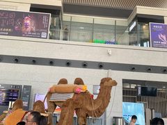 -敦煌莫高国际机场