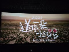 -左岸国际电影城(泉汇购物广场店)