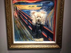 android_upload_pic-成都泰迪熊博物馆