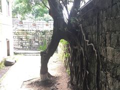 -胡里山炮台