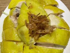 -百福麵家(新馬路店)