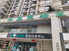 -半岛宠物医院24小时(西派城店)