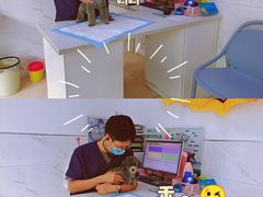 -萌兽医馆·宠物医院·猫骨科(创景店)