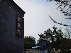 -莲花池公园
