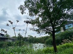 -木守西溪溪隐餐厅