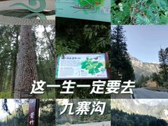 -九寨沟风景区
