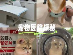 -御宝贝24h宠物医院·转诊中心·CT核磁血透中心(厦门总院)