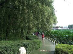 -长春市南湖公园