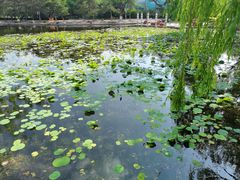 -满都海公园