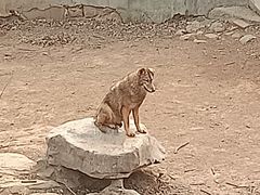 -济南野生动物世界