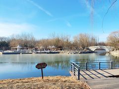 -大兴滨河森林公园