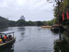-荔湾湖公园