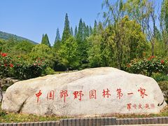 -习家池