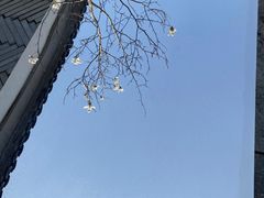 -黎里古镇