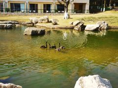 -西昌邛海宾馆