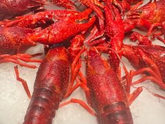 -红盔甲·小龙虾(天钥桥店)