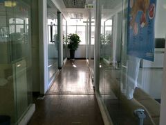 -大理酷宠宠物医院
