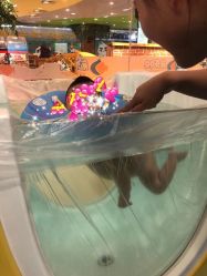 -蓝色海林婴幼儿水育馆(新辰里学清路店)