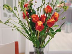 -双季花艺园艺市场(浦东店)
