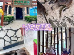 -海合安武汉极地海洋公园