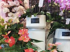 -豆豆花艺(新光天地店)