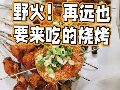 -野火鲜货烧烤(河边小院店)