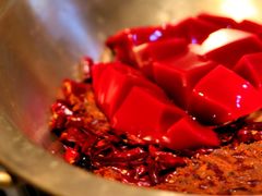 冷锅鸭血-潮火锅·麻辣牛肉火锅(观音桥方圆·LIVE店)