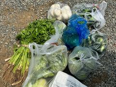 -第五季龙水凤港生态露营农场