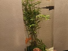 -涟LIAN·泰式按摩·MASSAGE·SPA(深业上城店)