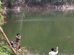 -王借岗森林公园