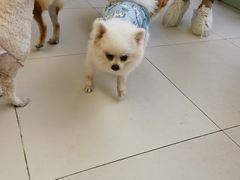 -怪兽屋·羊驼·猫咖·狗咖(俊华广场店)