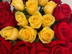 -循礼门鲜花花市(武汉循礼门店)