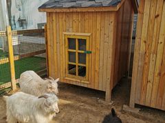 -南宫五洲植物乐园