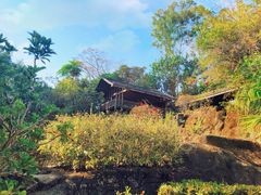 -深圳国际园林花卉博览园