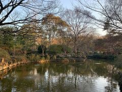 -秋霞圃