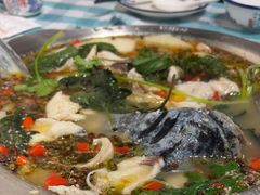-重庆火锅水库鱼庄(南油店)