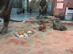 -中国西峡恐龙遗迹园