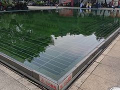 -重庆西南医院(西南院区)