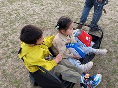 -青枫公园