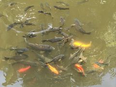 -青青世界