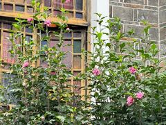 -贵阳北天主教堂