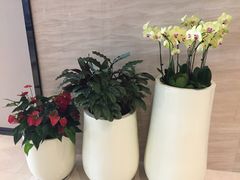 -行者书屋大堂吧 ·下午茶(南京圣和府邸酒店)