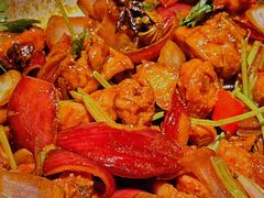 -禄婶鸡煲·打边炉