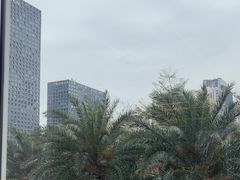 -大中华希尔顿酒店-念自助餐·嗨啤·小龙虾