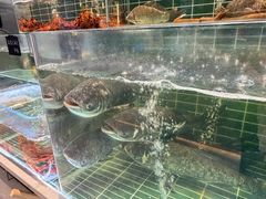 -明丰小渔馆(明月路店)