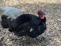 -南京金牛湖风景区