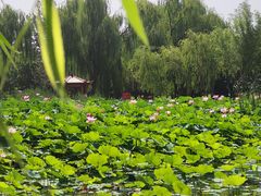 -太阳宫公园