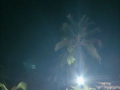-亚龙湾希尔顿自助餐厅·海鲜·烧烤·沙滩BBQ·现场乐队