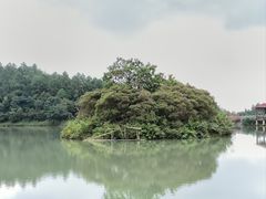 -广州白江湖森林公园