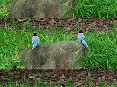 -苏州河梦清园环保主题公园